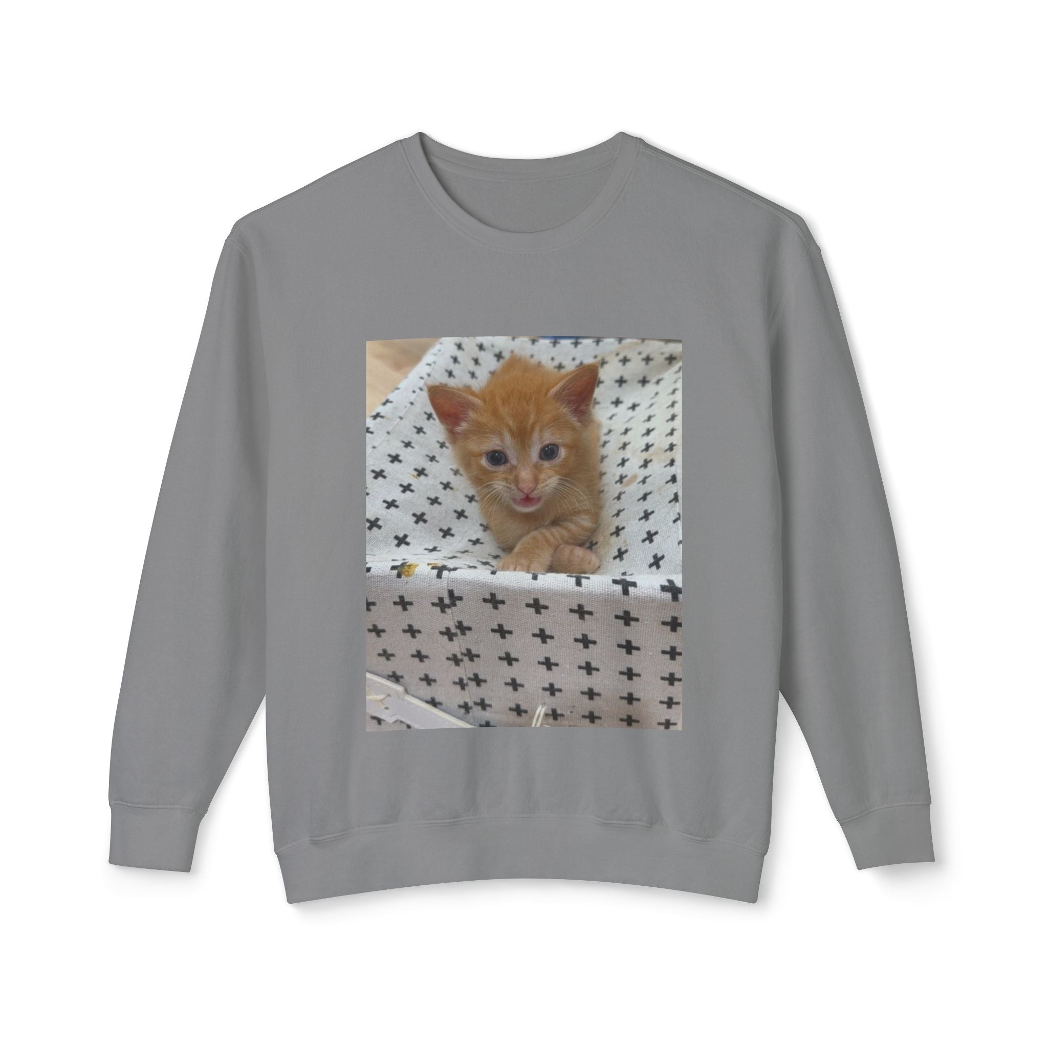 Orange Kitten Photo Sweatshirt | Cute Cat Crewneck