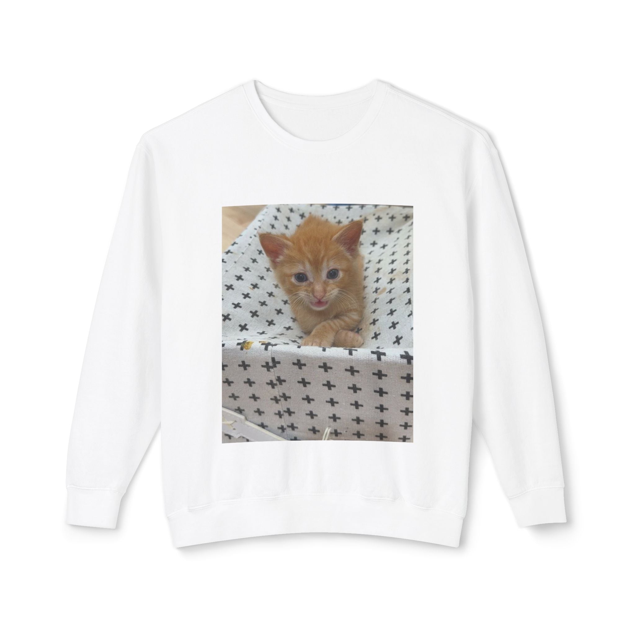 Orange Kitten Photo Sweatshirt | Cute Cat Crewneck