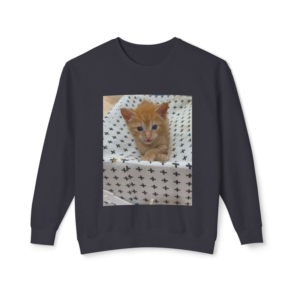 Orange Kitten Photo Sweatshirt | Cute Cat Crewneck
