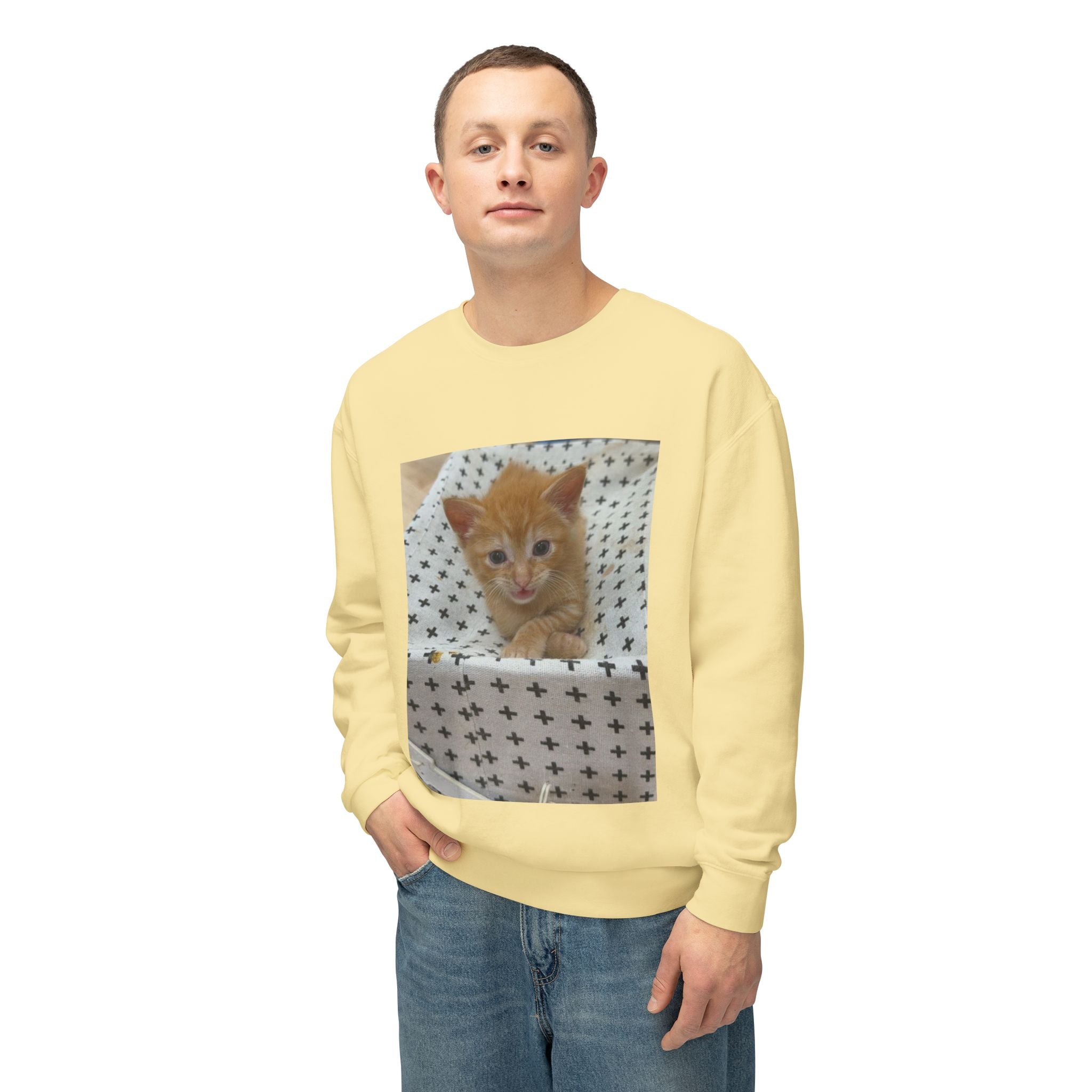Orange Kitten Photo Sweatshirt | Cute Cat Crewneck