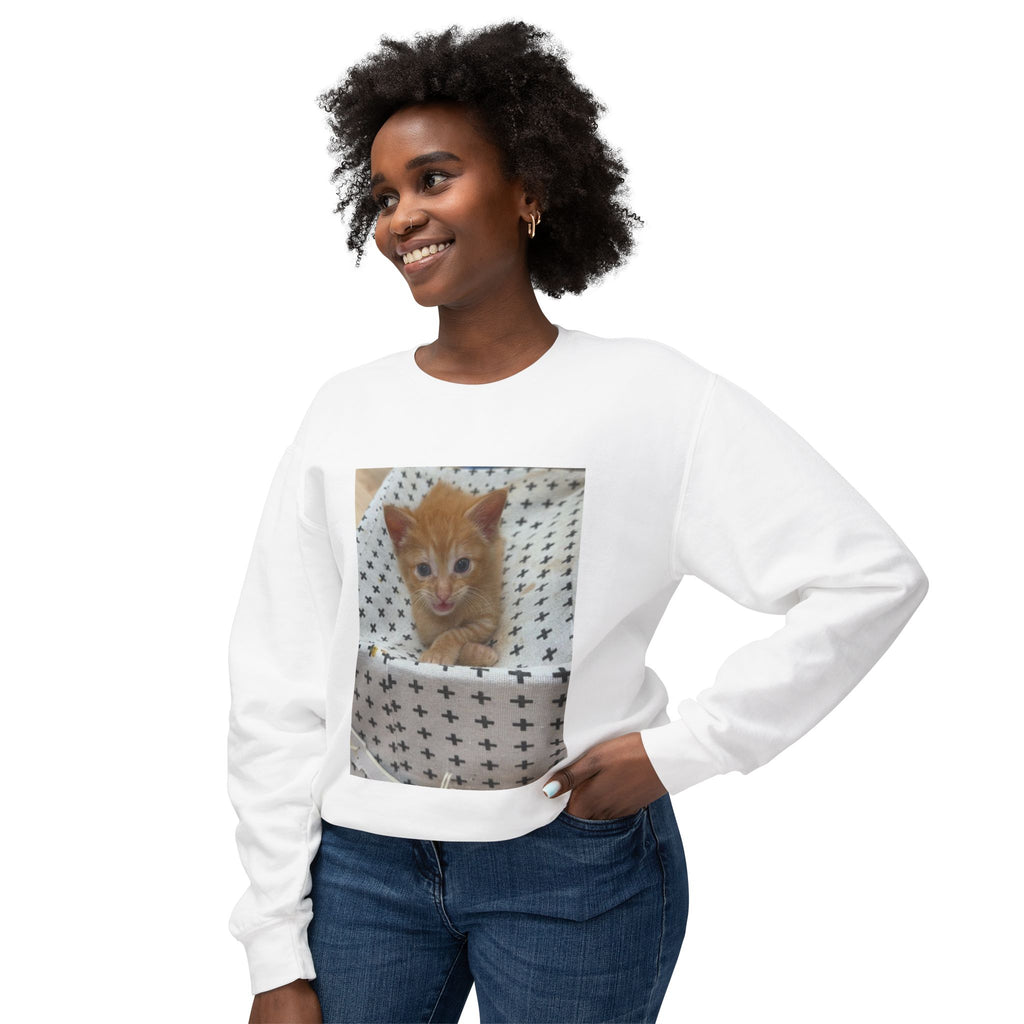 Orange Kitten Photo Sweatshirt | Cute Cat Crewneck