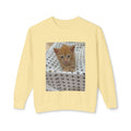 Orange Kitten Photo Sweatshirt | Cute Cat Crewneck