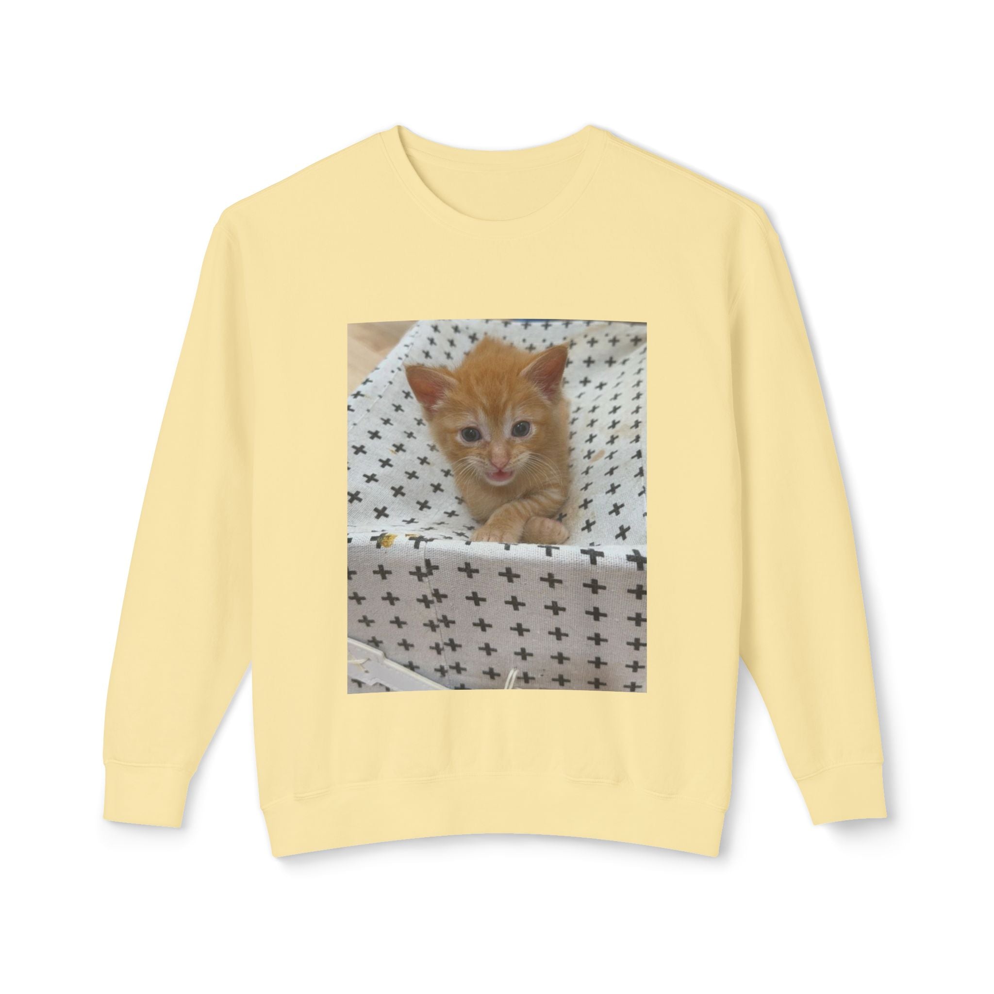 Orange Kitten Photo Sweatshirt | Cute Cat Crewneck